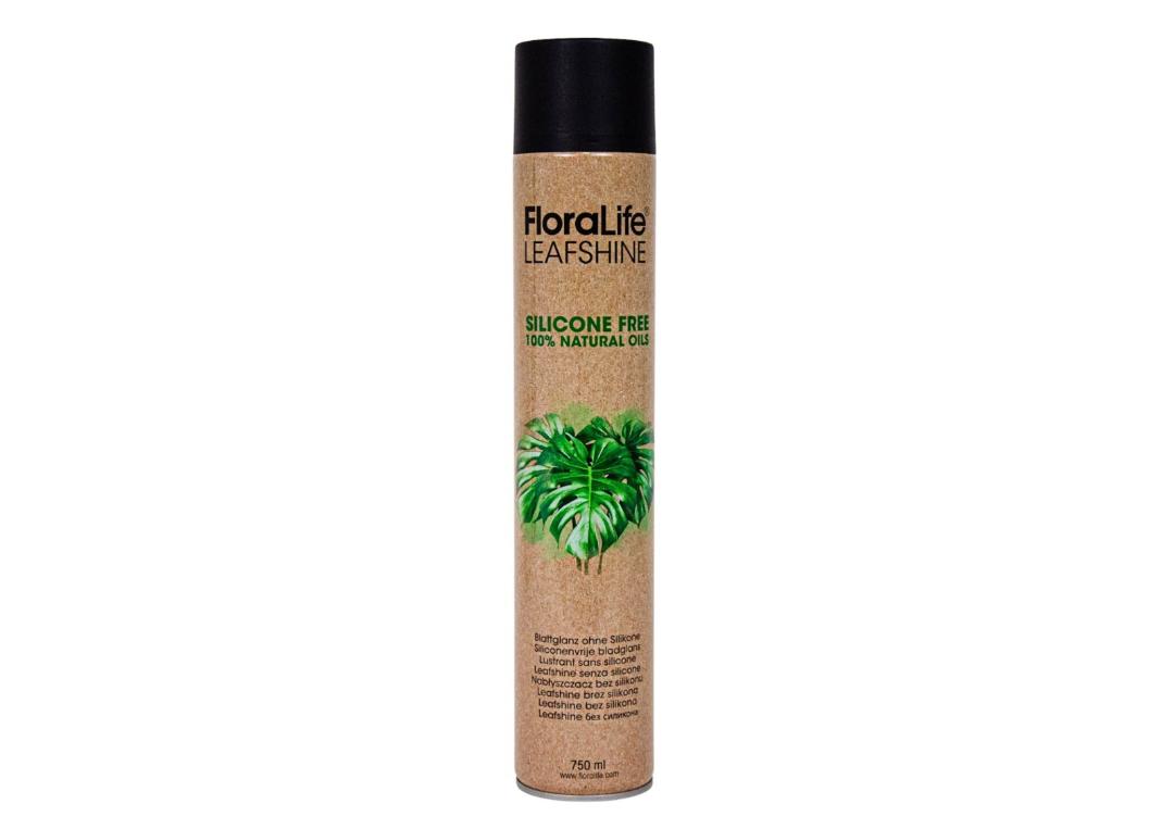Spray luciu silicon free
