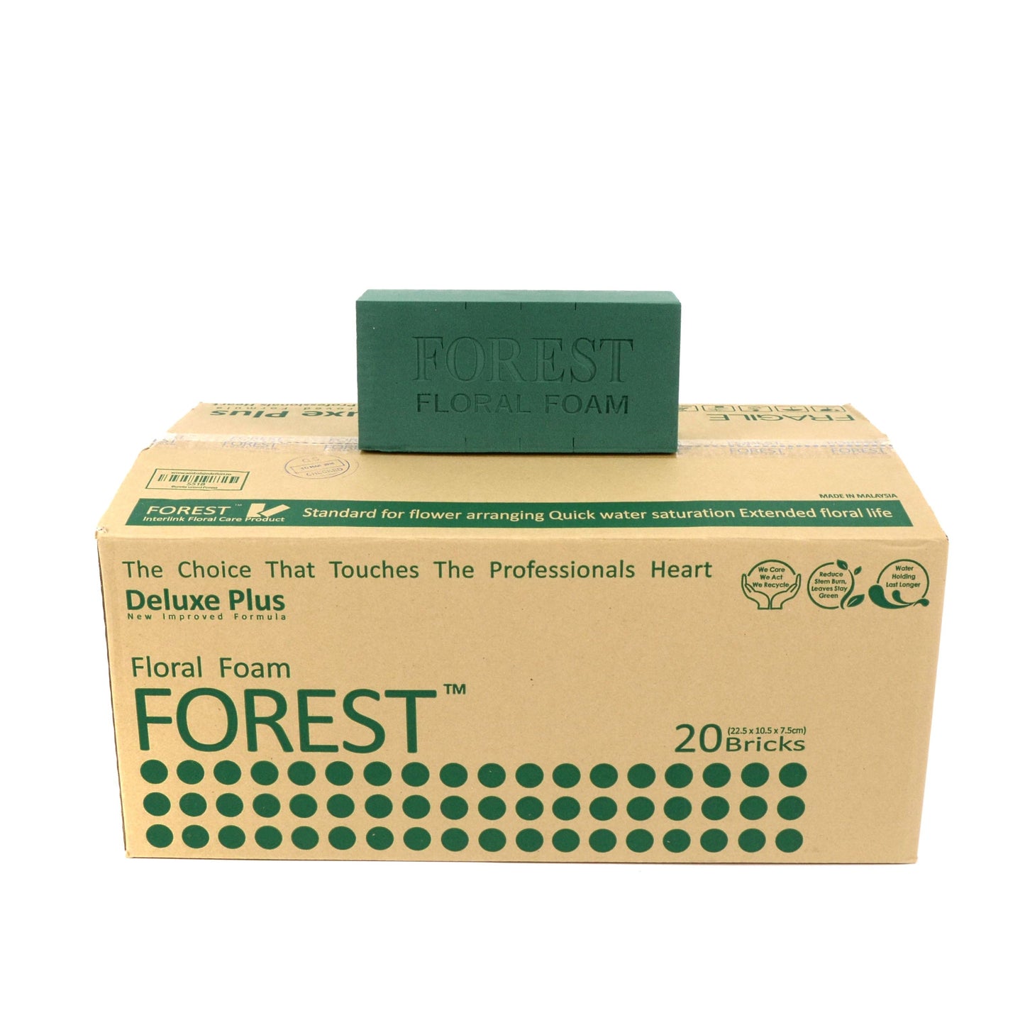 Burete umed Forest