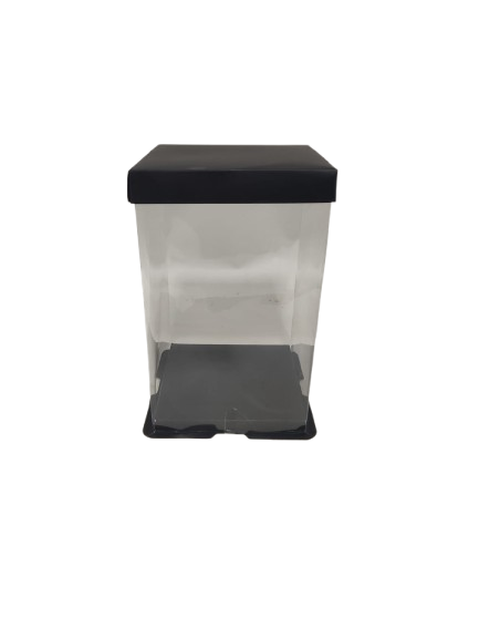 CUTIE TRANSPARENTA PT URSI DIN SPUMA