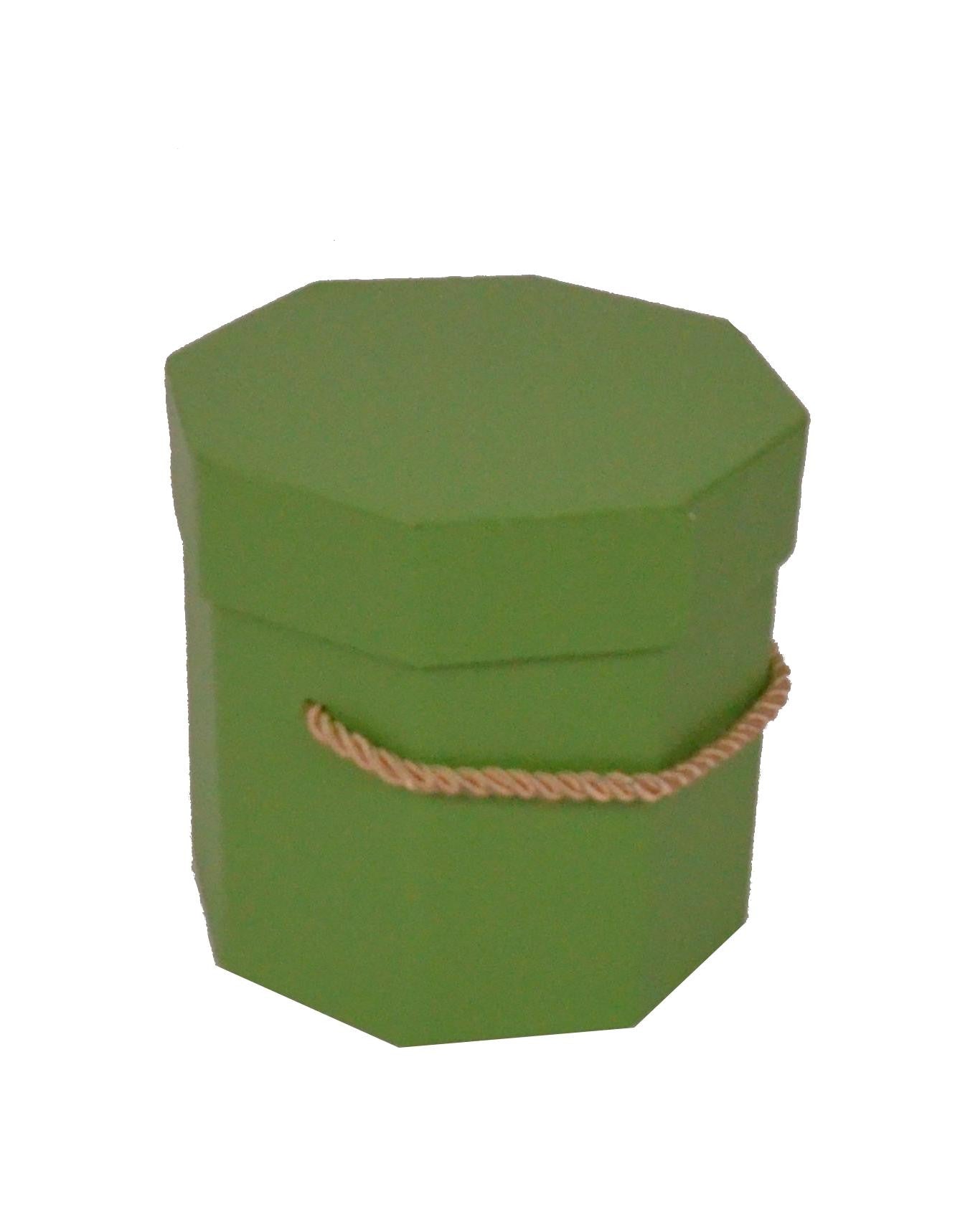 Cutie hexagonala de culoare Verde Deschis