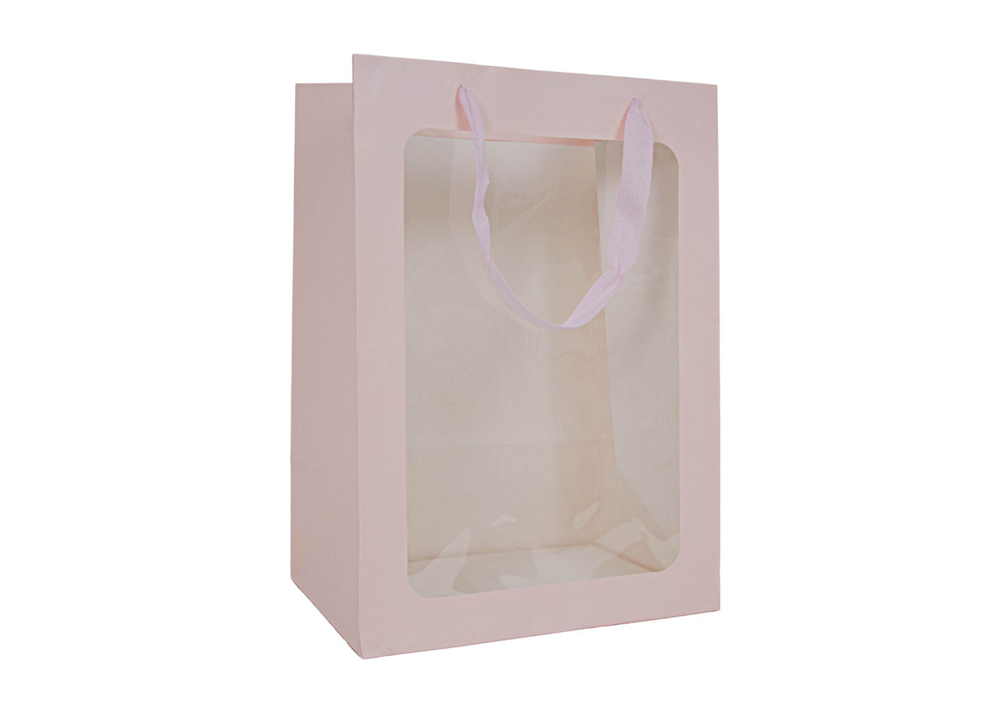 Set 10 pungi cu latura transparenta H18