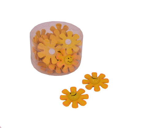 Floarea soarelui "smiley face" Floarea soarelui "smiley face"