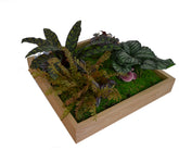 Tablou cu plante artificiale 50 x 50