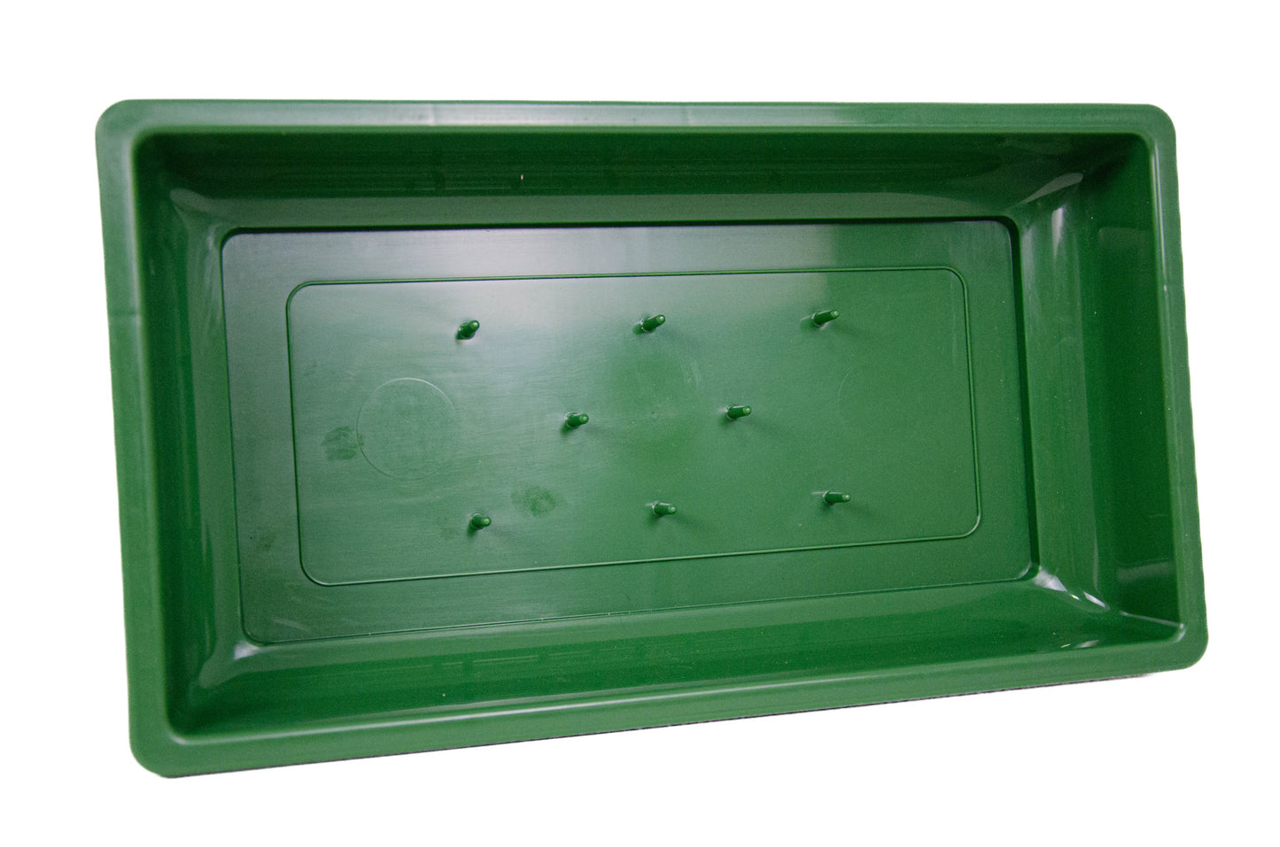 TAVITA BURETE FOREST 10A