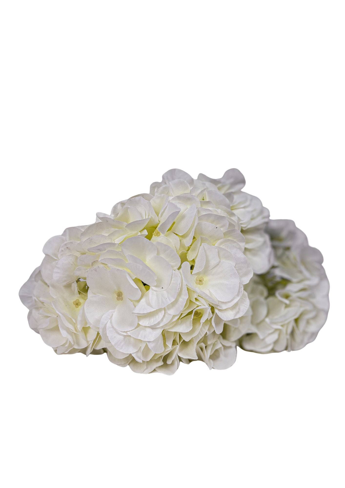 Hortensie 42cm