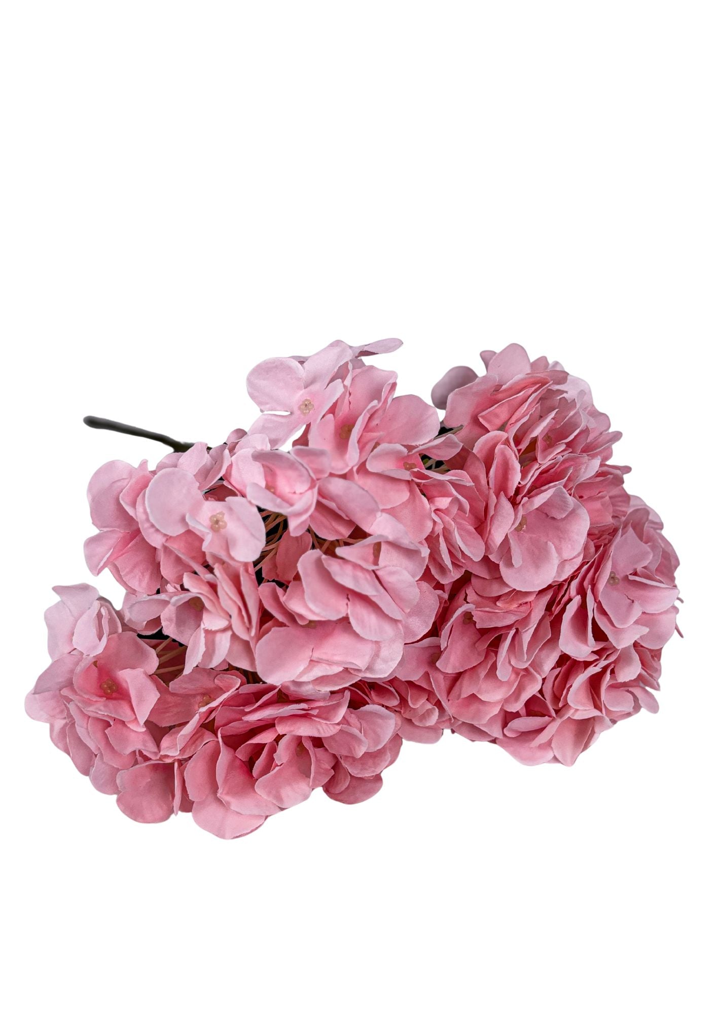 Hortensie 42cm