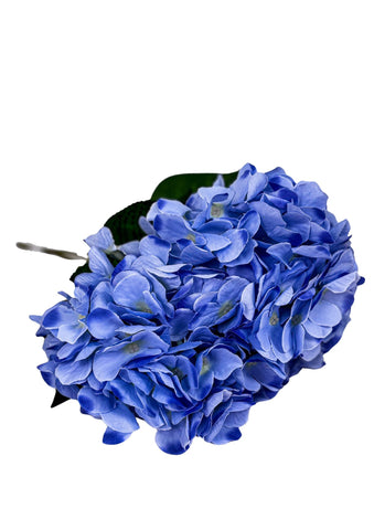Hortensie 42cm