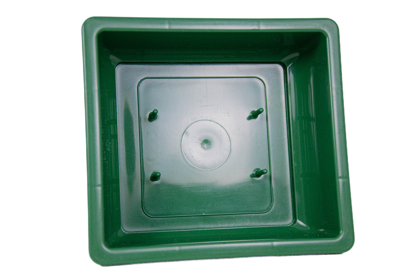 TAVITA BURETE FOREST VERDE 05