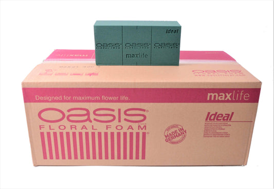 Burete umed Oasis Ideal