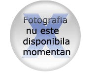 Cos din rachita oval fara toarte H 10