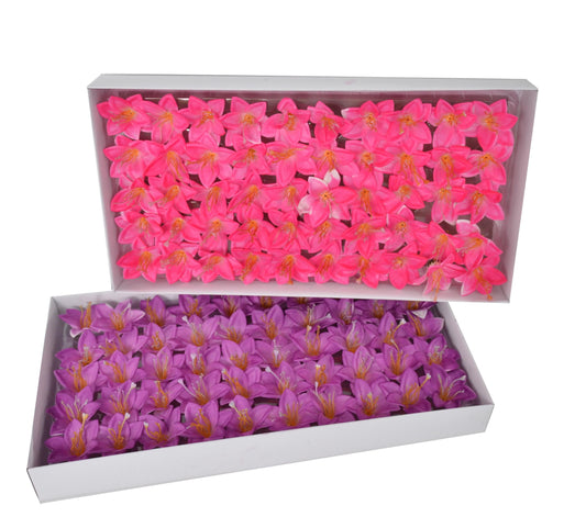 Set 50 crini de sapun