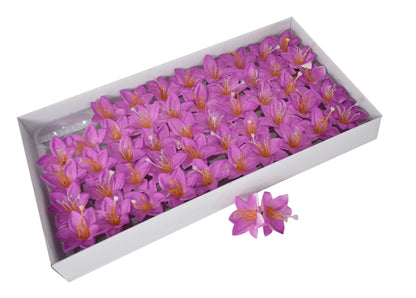 Set 50 crini de sapun