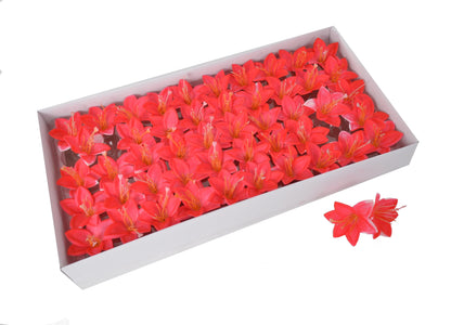 Set 50 crini de sapun