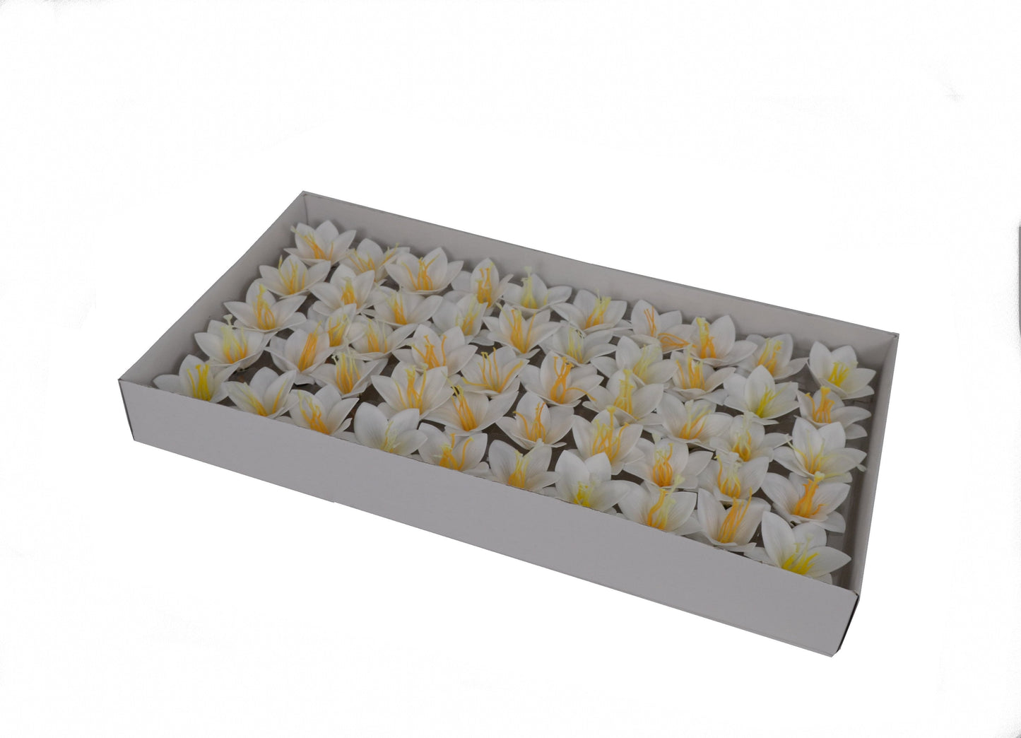 Set 50 crini de sapun