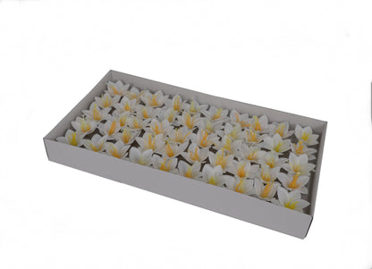 Set 50 crini de sapun