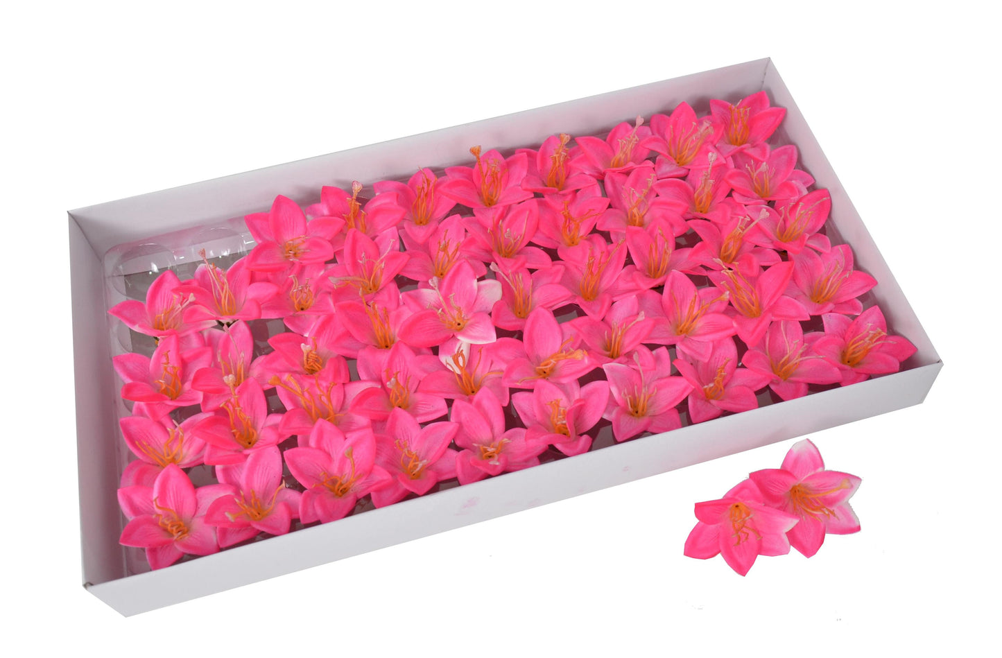 Set 50 crini de sapun