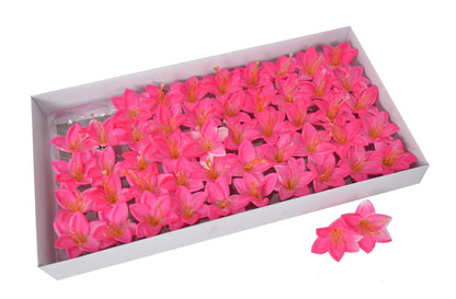 Set 50 crini de sapun