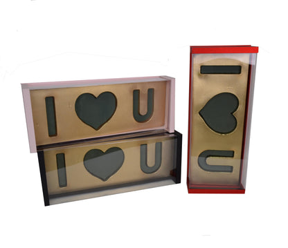 Cutie Dreptunghiulara cu Capac Transparent Plexiglas L64 x l25 x H12 cm