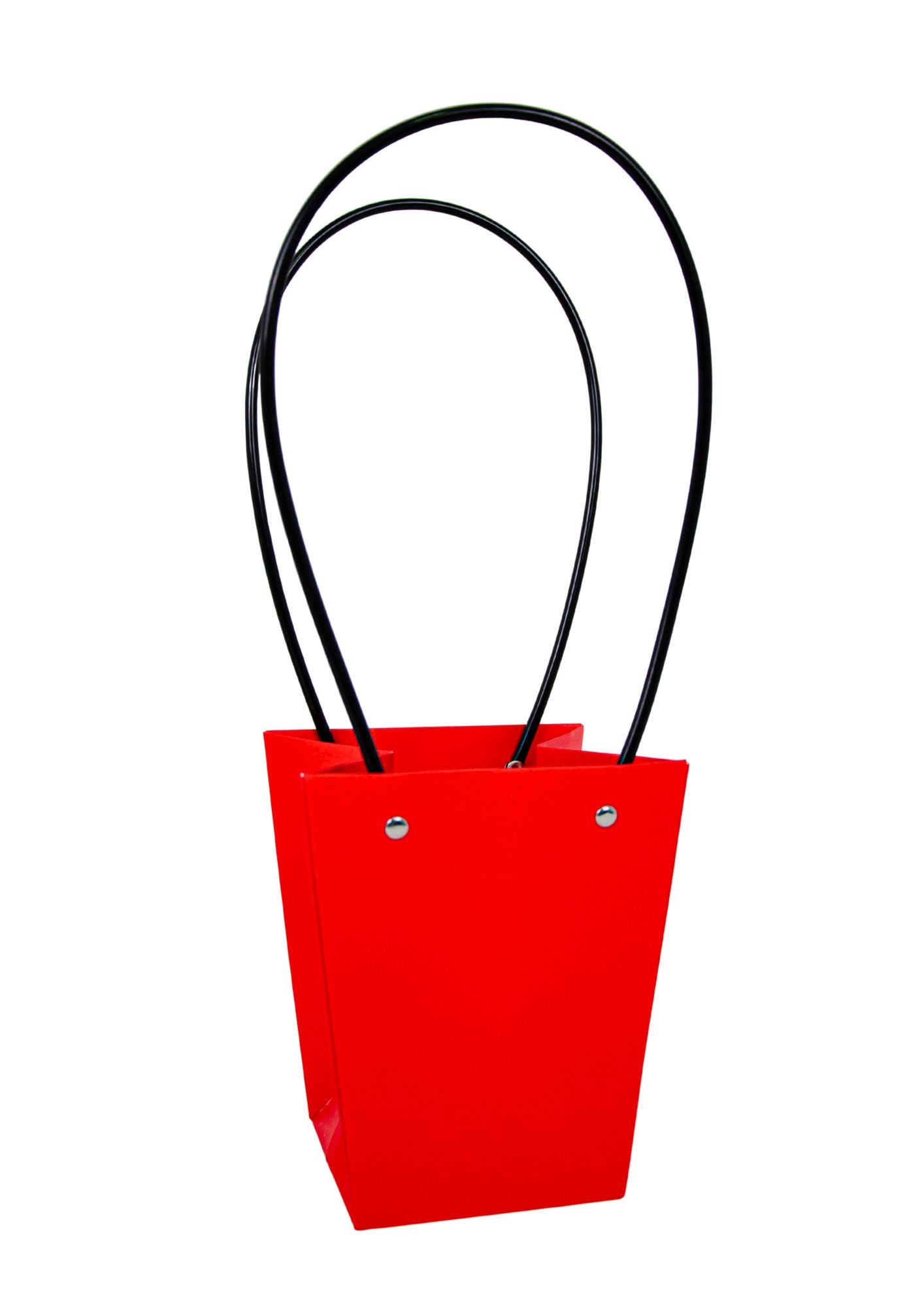 Set 10 pungi   din carton uni H 15