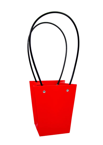 Set 10 pungi   din carton uni H 15