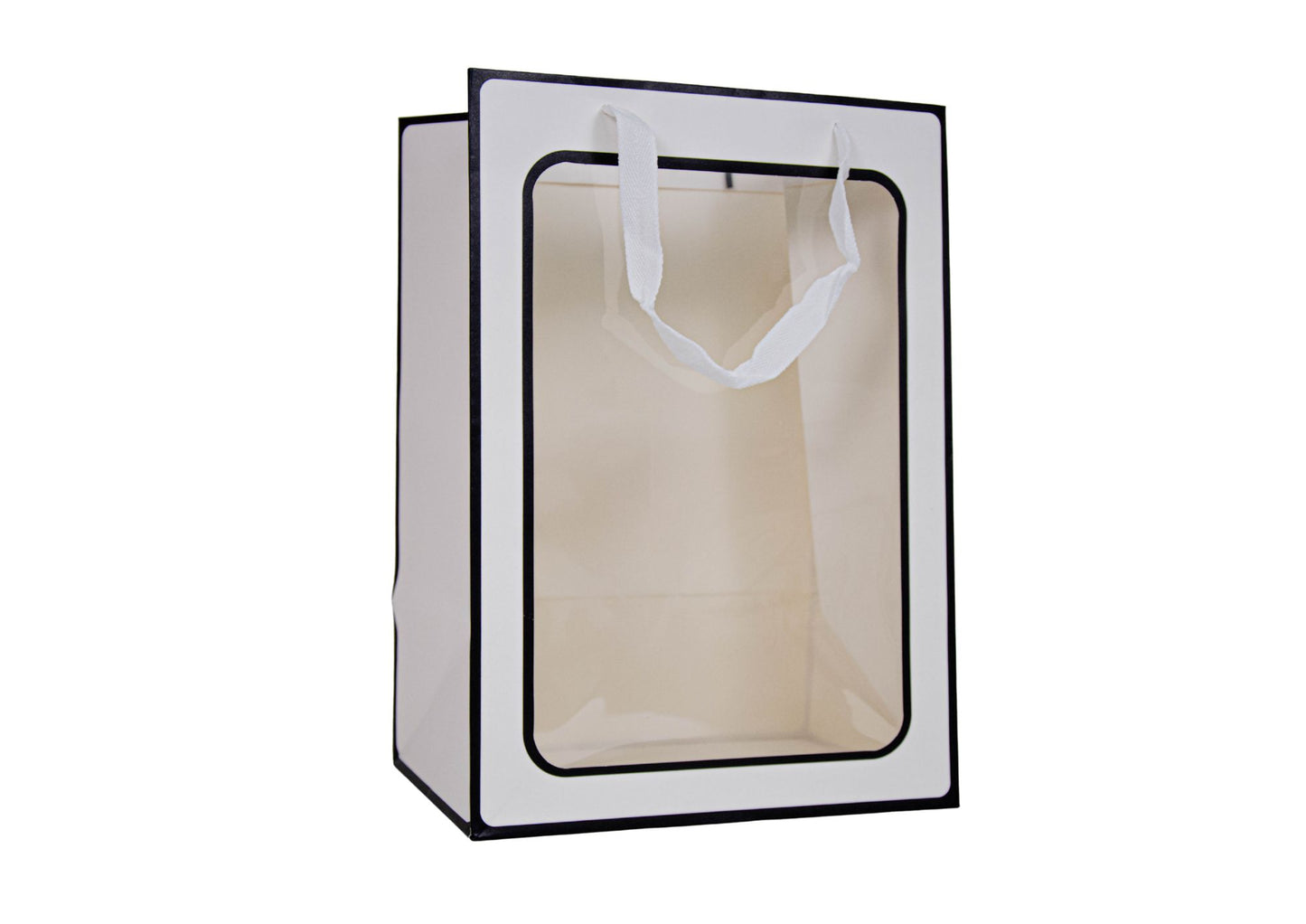 Set 10 pungi cu latura transparenta H18