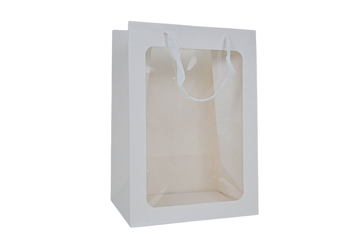 Set 10 pungi cu latura transparenta H18