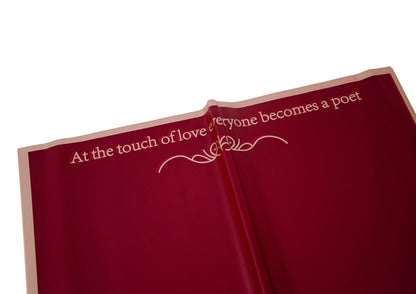 Celofan patrat model 3