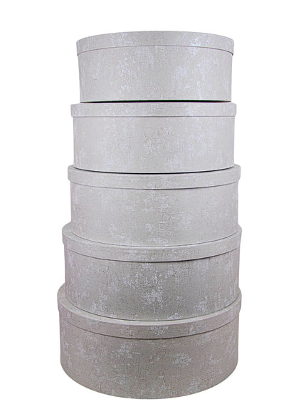 Set 5 Cutii Rotunde Mari pentru Flori H14.5-H18.5