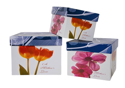 Set 3 Cutii Patrate cu Imprimeu pentru Flori H9-H13