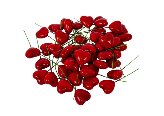 Set 50 inimioare din polistiren pe tija de sarma