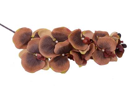 Fir de orhidee