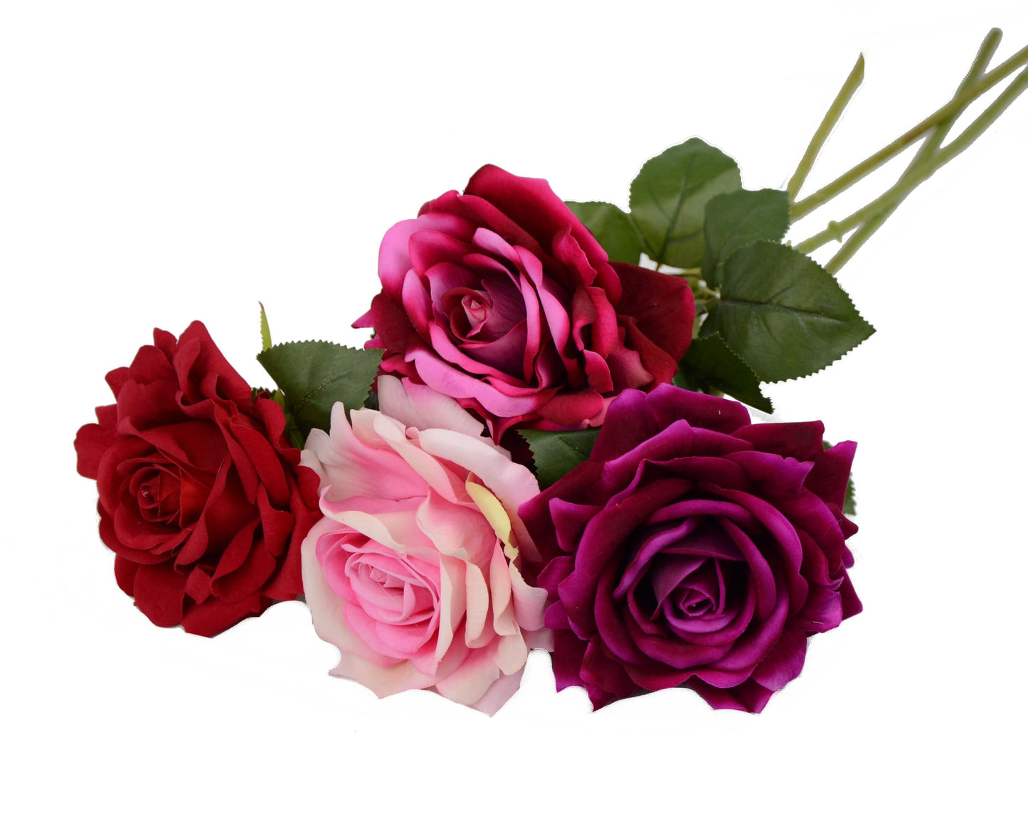 Fir de trandafir 60 cm