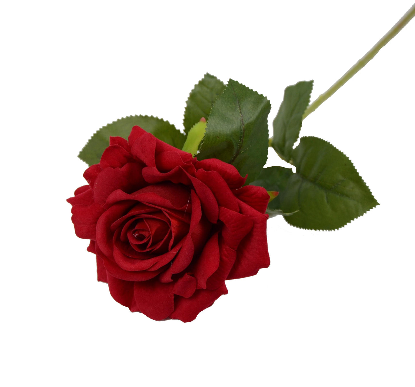 Fir de trandafir 60 cm