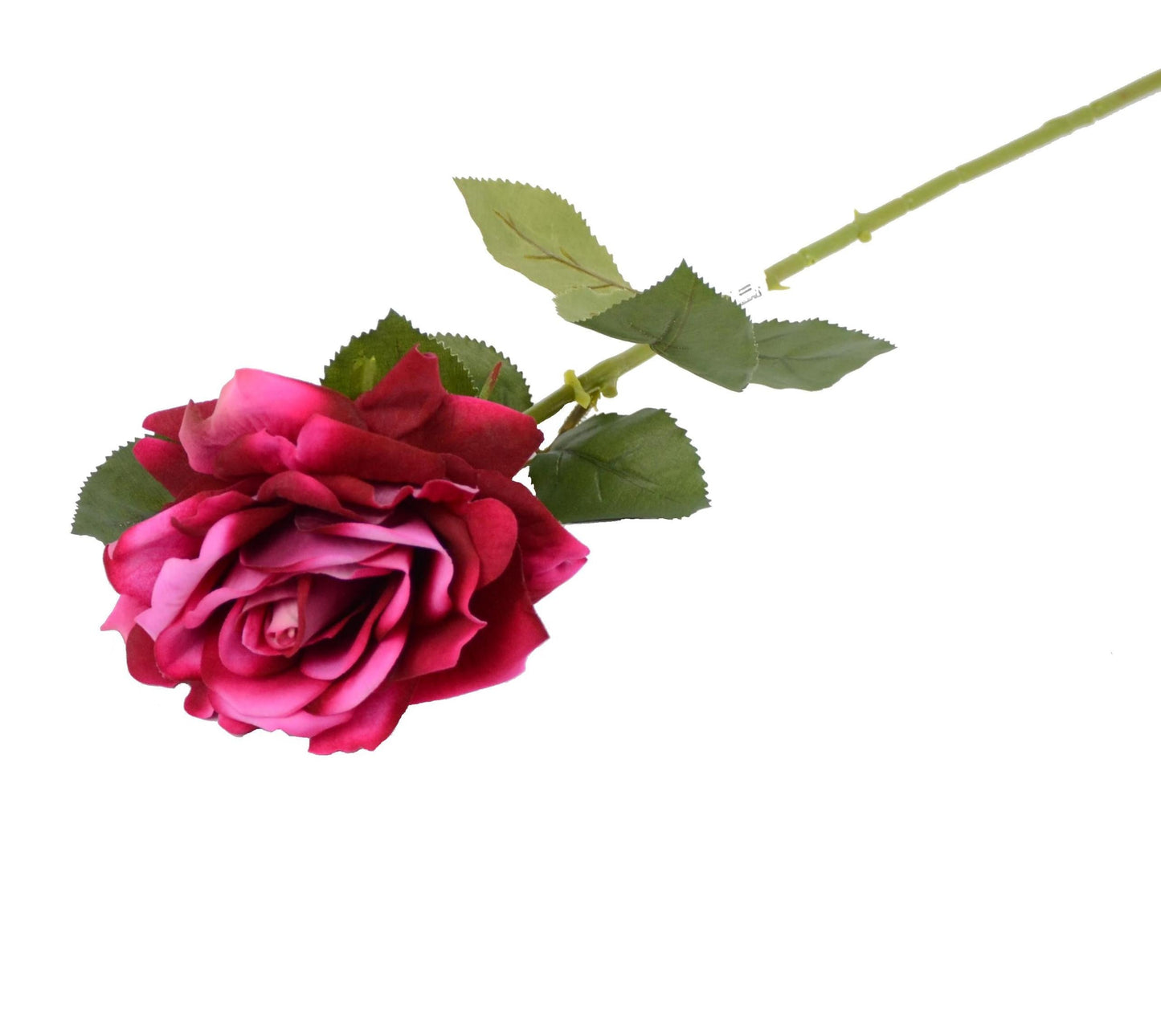 Fir de trandafir 60 cm