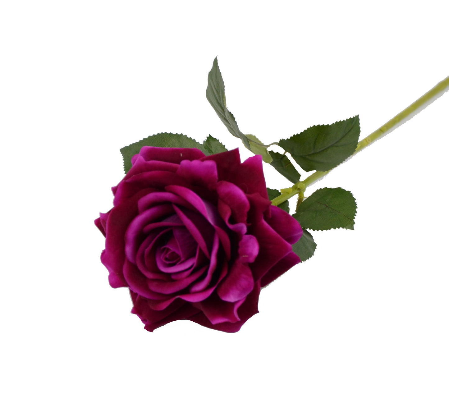 Fir de trandafir 60 cm