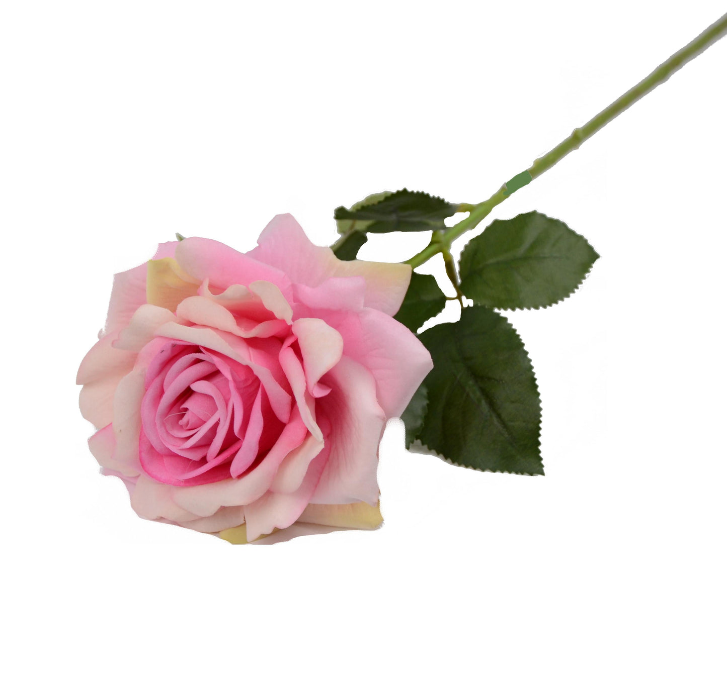 Fir de trandafir 60 cm