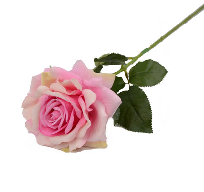 Fir de trandafir 60 cm