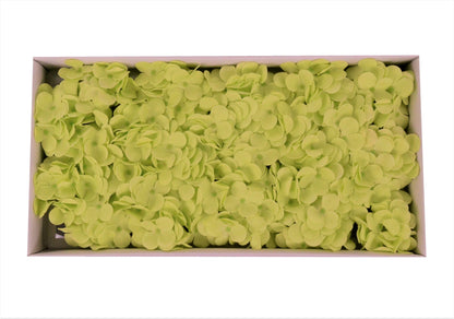 Set 25 hortensii de sapun D 12