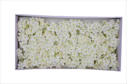 Set 25 hortensii de sapun D 12