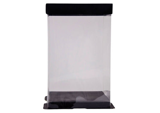 CUTIE TRANSPARENTA PT URS H25