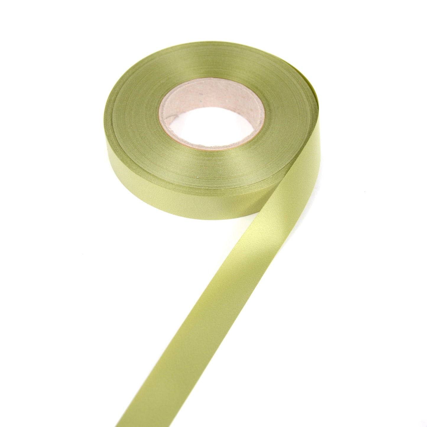 Panglica plastic 2 cm