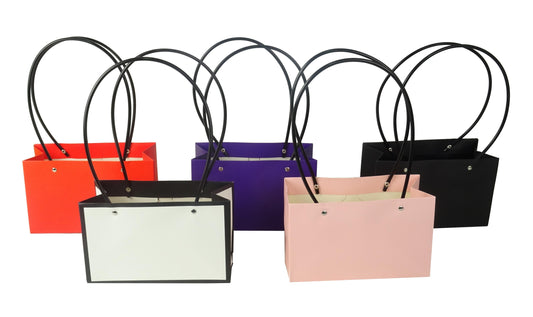 Set 10  pungi dreptunghiulare din carton uni H 10