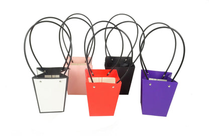 Set 10 pungi   din carton uni H 15