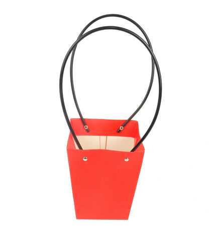 Set 10 pungi   din carton uni H 15