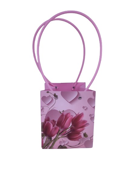 Set 10 pungi din carton cu imprimeu