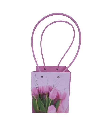 Set 10 pungi din carton cu imprimeu