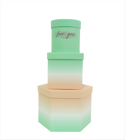 Set 3 cutii cu forme diferite degrade H12-H15