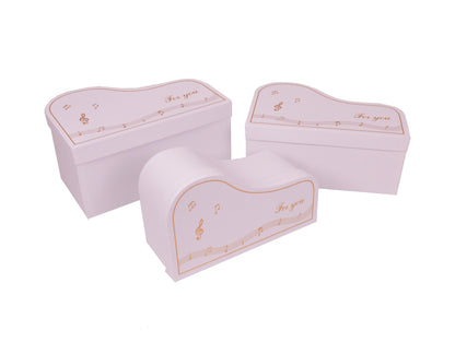 Set 3 Cutii in Forma de Pian pentru Flori H10-H14