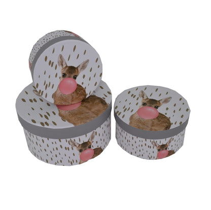 Set 3 Cutii Rotunde cu Imprimeu pentru Flori H7-H11
