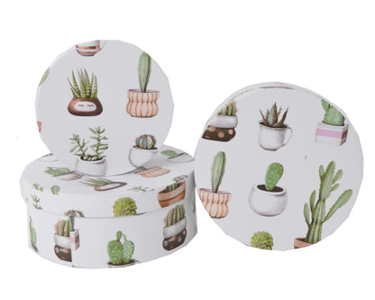 Set 3 cutii rotunde cu imprimeu